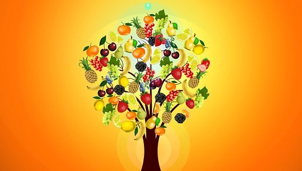 NutrInform Battery: la proposta dell’Italia per le dichiarazioni nutrizionali.