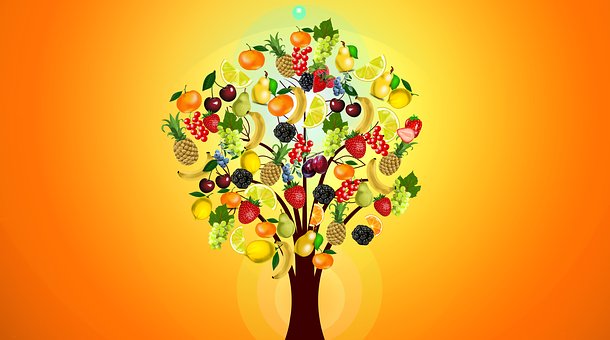NutrInform Battery: la proposta dell’Italia per le dichiarazioni nutrizionali.