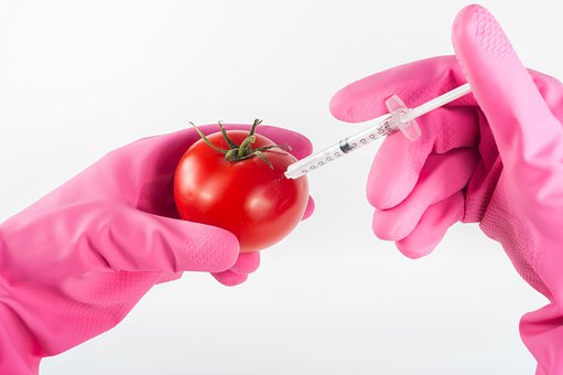 OGM e tecniche di mutagenesi: vediamo la sent. 15.07.2018 della Corte di Giustizia UE
