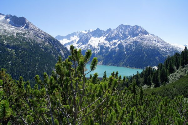 “PRODOTTO DI MONTAGNA”: NON UN SEMPLICE CLAIM COMMERCIALE MA UN’INDICAZIONE DI QUALITÀ CON SPECIFICHE CONDIZIONI D’USO