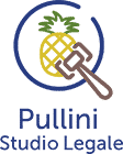 Logo pullini colorato